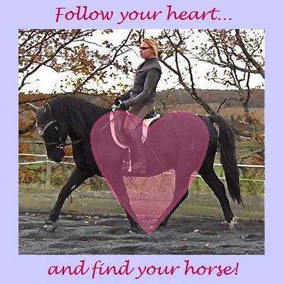 HHT e-Book How To Train A Horse Without Force Pt. 1