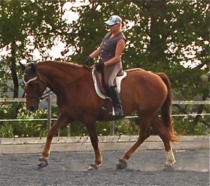 rider communication through posture