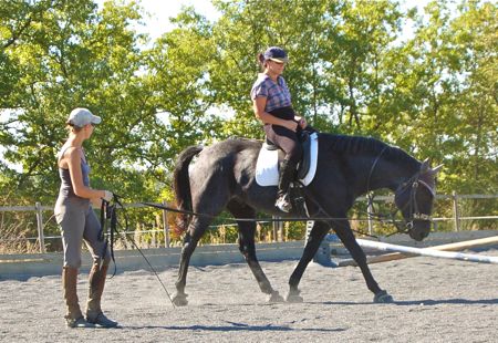riding instruction on the lunge at Happy Horse Training