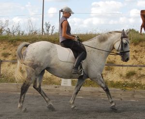 dressage acceptable moment above the bit