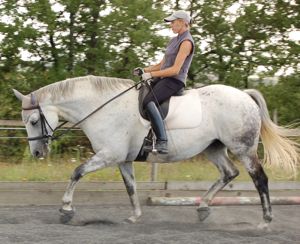 dressage correct low round head carriage