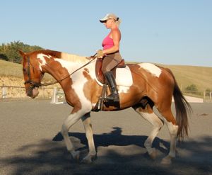 dressage correct self carriage 