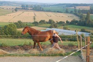 monty roberts join up sending away