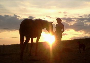 sunset horse and person 