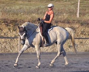 previously stiff horse working in engagement