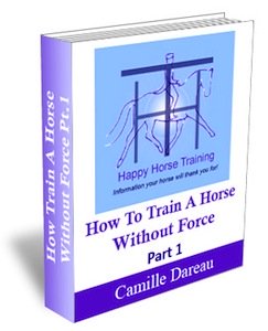 How to lunge a horse well is fully explained in 'How To Train A Horse Without Force' 