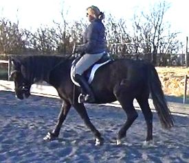 Bridle problems: how to deal with tugging