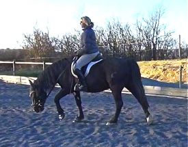 Bridle problems: how to deal with tugging