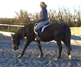 Bridle problems: how to deal with tugging